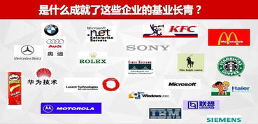 薪酬管理与绩效管理 打造高效团队，实现业绩倍增的盈利模式