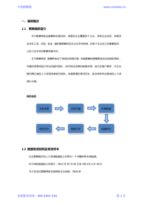 2013年销售管理总监岗位薪酬调查报告